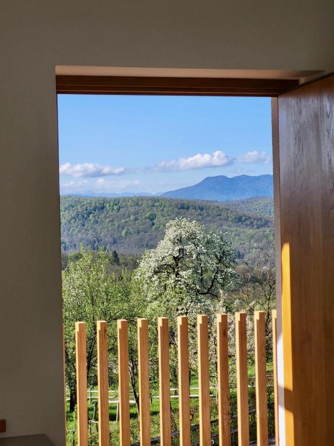 Guest House Domacija Krnc Hrib pri Hinjah Exterior photo