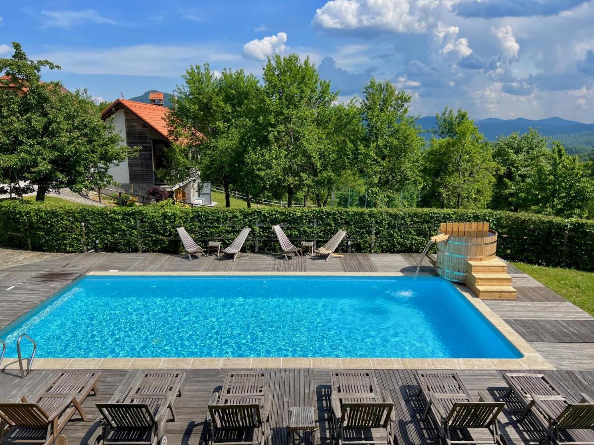 Guest House Domacija Krnc Hrib pri Hinjah Exterior photo