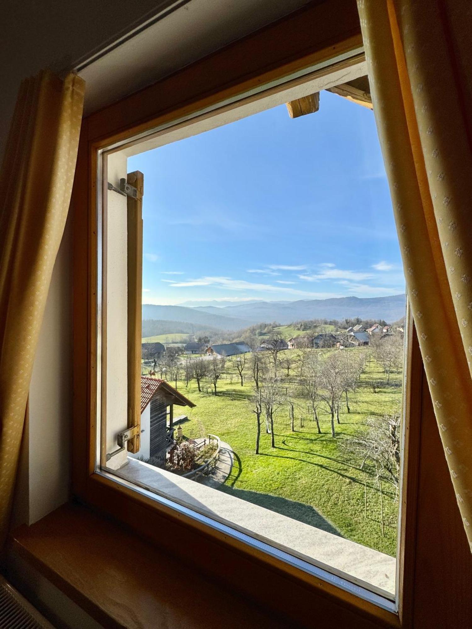 Guest House Domacija Krnc Hrib pri Hinjah Exterior photo